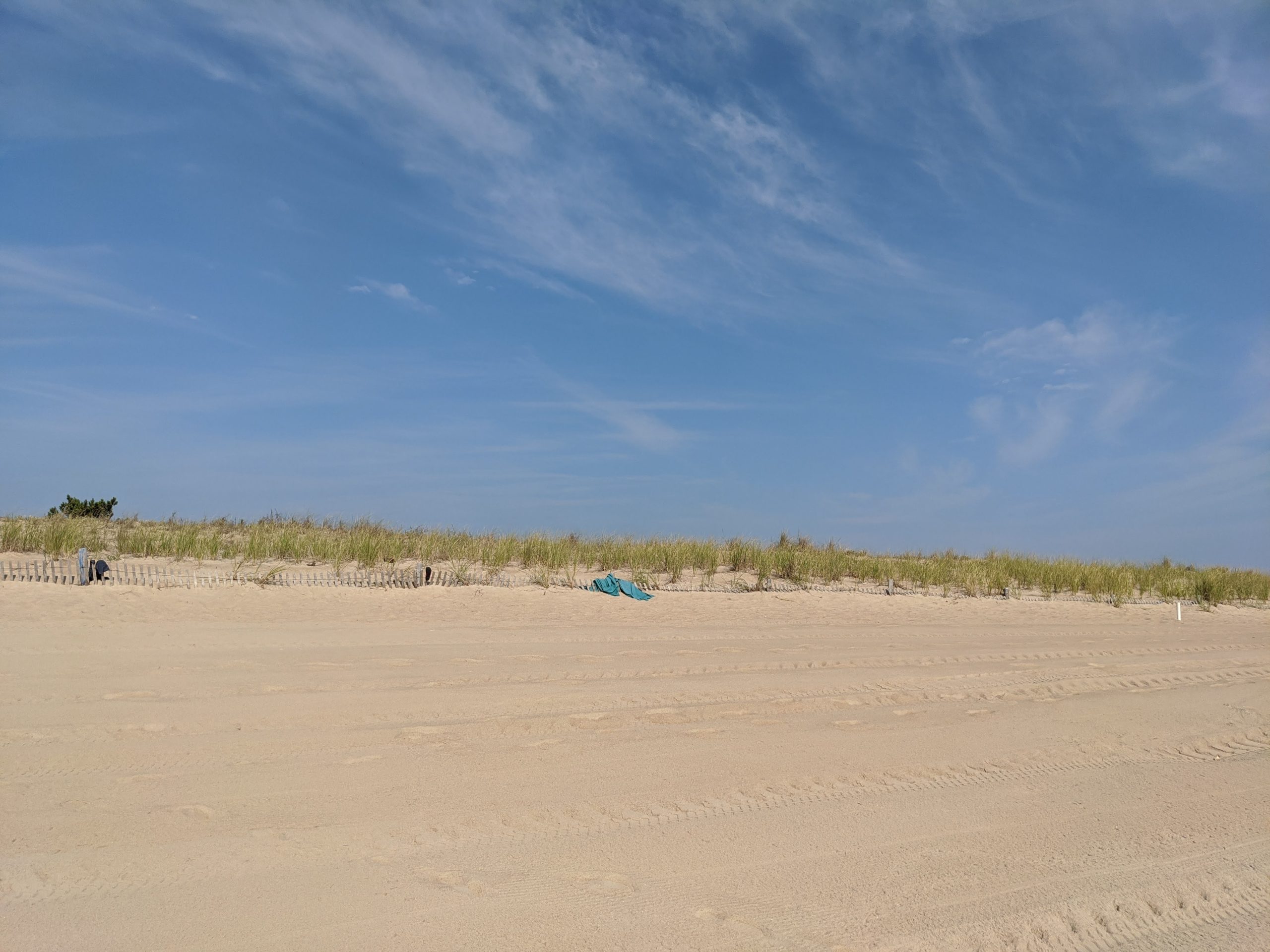 Wide sandy beach and grassy dunes at Cape Henlopen State Park in Delaware